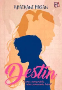 Image of DESTIN